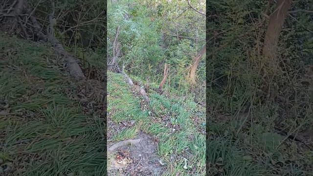 Поход на Уборевича, ЧВК описания для следущего видео. смотреть онлайн