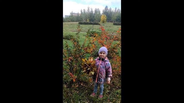 Что можно кушать, а что нет? Формируем причино - следственные связи смотреть онлайн