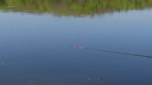 Сплав по реке Десна Жуковка Брянск май 2017