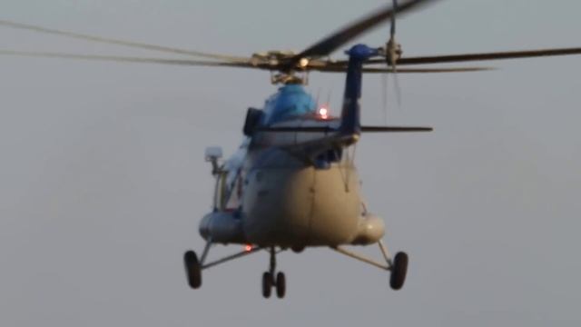 Живая стена 2014. смотреть онлайн