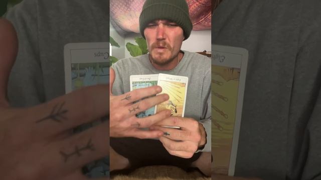 Two DL Mascs Workplace Exposure Because Of Empress Kamikaze Action смотреть онлайн