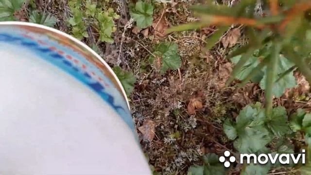 Карелия. Карельские мотивы. смотреть онлайн