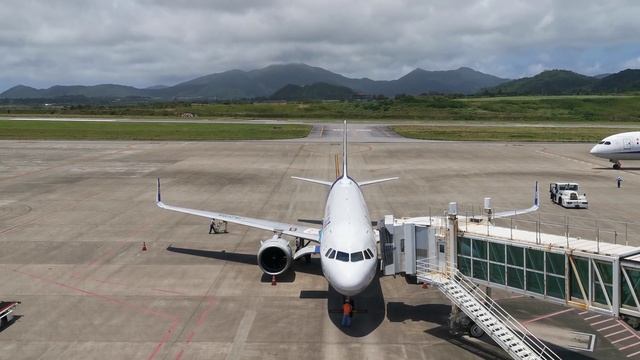 《4K》ANA Airbus A320-271N JA219A Arrived At New Ishigaki Airport(ISG/ROIG)