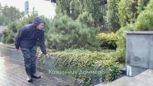 Сад площадью 1га. Фишки ухода и простые сочетания растений