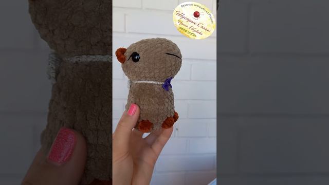 Сидячая КАПИБАРА в фиолетовой и жёлтой бабочке #капибара смотреть онлайн
