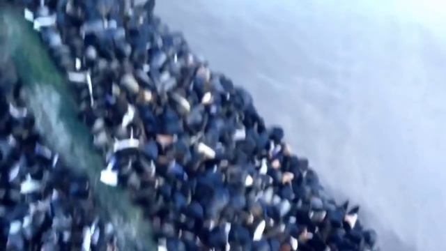 Мидии на камнях , Бруклин Нью-йорк смотреть онлайн