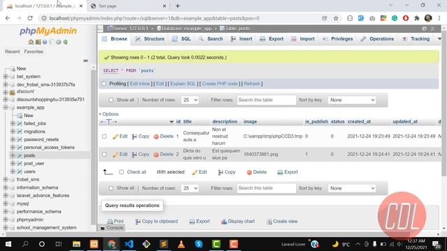 66 Fetch Image from Database | Retrieve image in blade | Get Image from database in Laravel смотреть онлайн