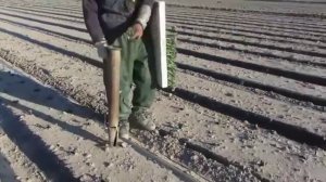 Пистолет для посадки рассады  сквозь пленку ☎ +7(912)847-52-01WhatsApp/Viber/Telegram