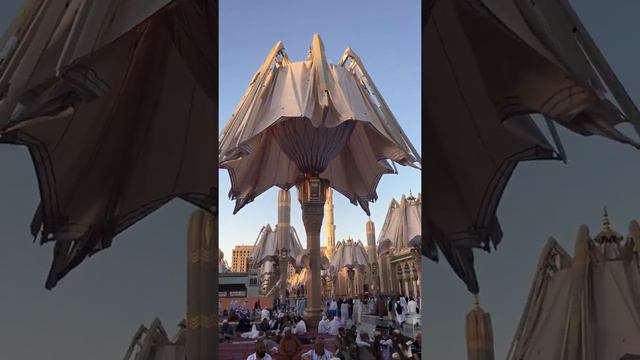 Медина закрывается зонт!