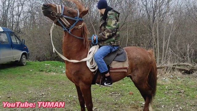 19.03.23г, Конный Рынок Лошадей, Чечня Туман. Урус-мартан. смотреть онлайн