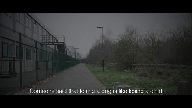 Kate Spicer: Lost Dog смотреть онлайн