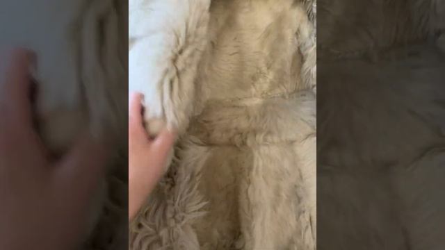 дубленка сагита Sagitta