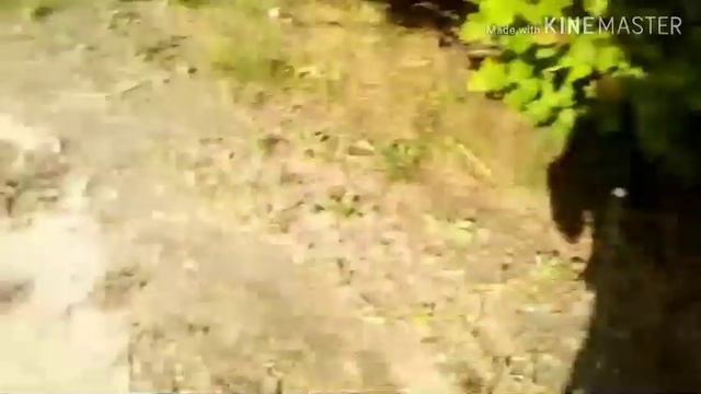 В этом видео мы с друзьями играем в прятки догонялки в кустах часть 1 смотреть онлайн
