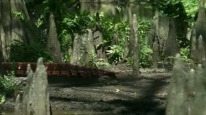 Артроплевра ( Прогулки с динозаврами: жизнь до динозавров )