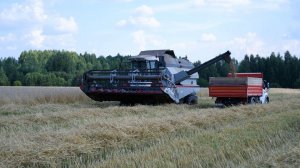 Гарский Уборка Зерновых 2022.MP4