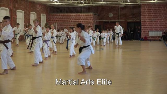 Каратэ Сетокан JKS. Медведева Анна. Семинар (2017; ч 2)