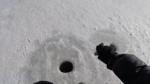 КРАСНООСКОЛЬСКОЕ ВОДОХРАНИЛИЩЕ ПОЙМАЛ МНОГО ПОДЛЕЩИКА И ЛЕЩА смотреть онлайн