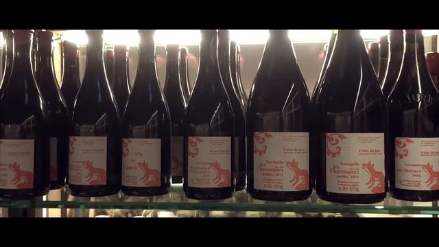 Gastronomic Tour Copenhagen