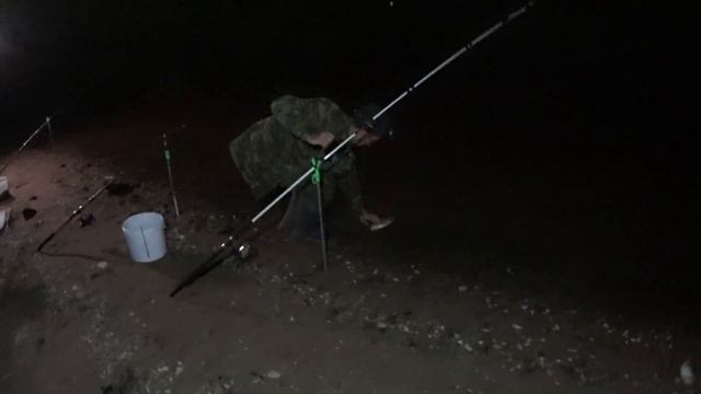 Отличный Клёв Сомов и подлещика На АЭС(Удомля).Нашли Золото!!!Удомельская Рыбалка! смотреть онлайн