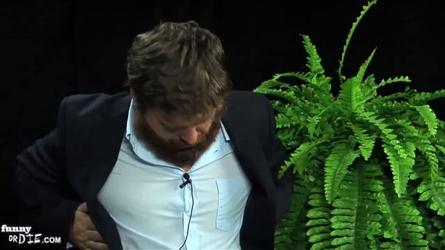 Между двумя папоротниками - Брюс Уиллис смотреть онлайн