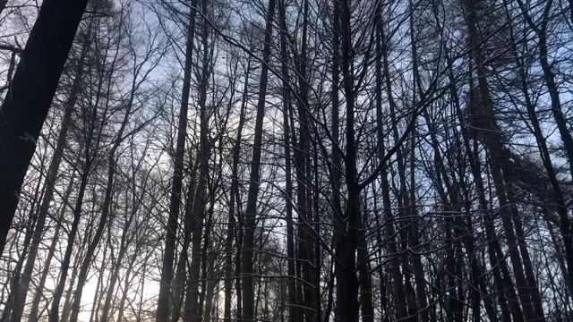 Narnia Lullaby on celtic flute смотреть онлайн