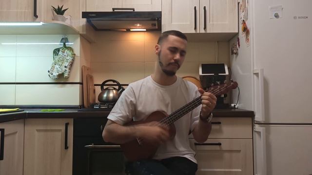 Коля Маню - Воин. Укулеле кавер. смотреть онлайн