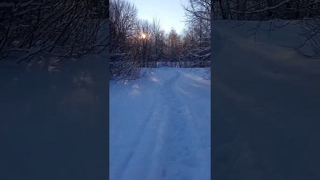 Как скрипит снег зимой при температуре ниже 5 градусов. Россия, Новгородская область. смотреть онлайн