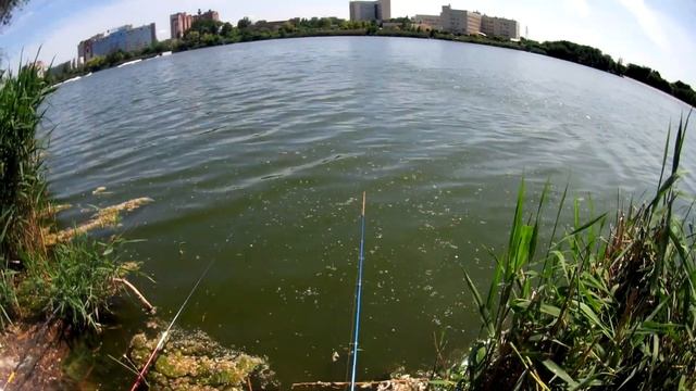 ловля карася на реке темерник смотреть онлайн