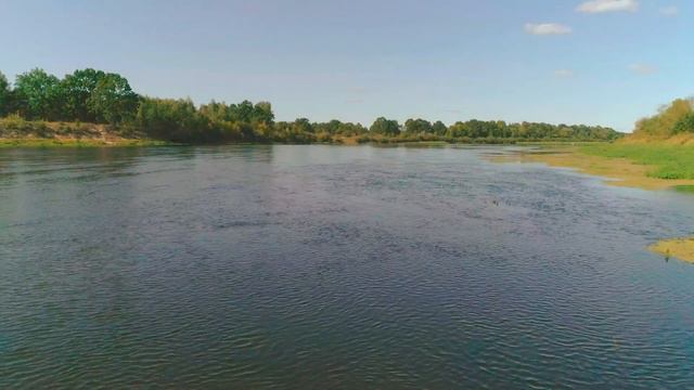 НЕИЗВЕСТНАЯ БЕЛАРУСЬ. ВРЕМЯ - ВОДА. (ПОДВОДНЫЕ СЪЁМКИ). 時は水なり。 (水中) ベラルーシの自然 смотреть онлайн