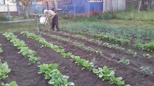 Чудо лейка! смотреть онлайн