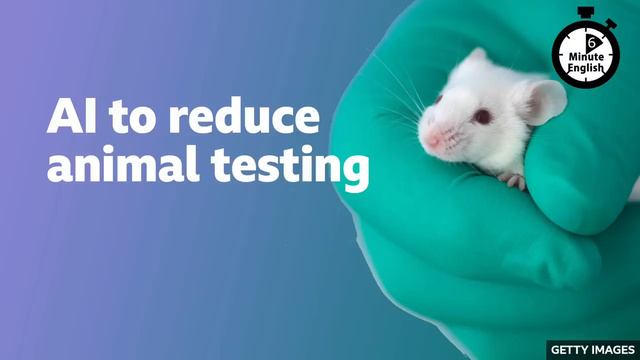 AI to reduce animal testing ⏲️ 6 Minute English смотреть онлайн