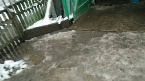 Ремонт форсунок трактора т-25 4 раз за 3 роки(2022)