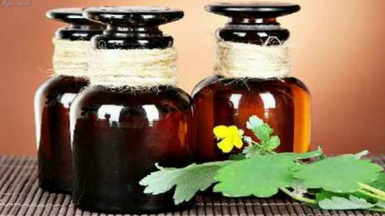 Чистотел. Природный лекарь.Как заготовить сок. смотреть онлайн