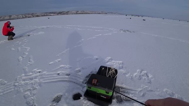 ОТОРВАЛИСЬ ПО СУДАКУ! Рыбалка на Дону! Рыбалка на судака с эхолотом практик! Судак на РАТТЛИНЫ ВИБЫ смотреть онлайн