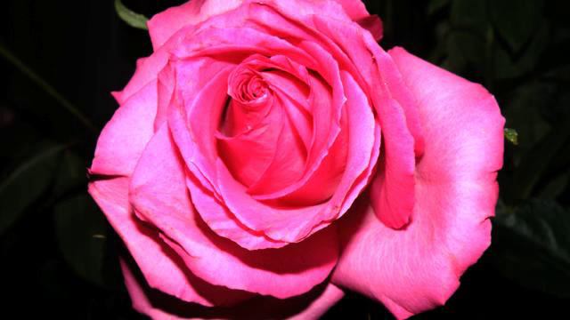 Лучший русский клип о любви онлайн смотреть онлайн