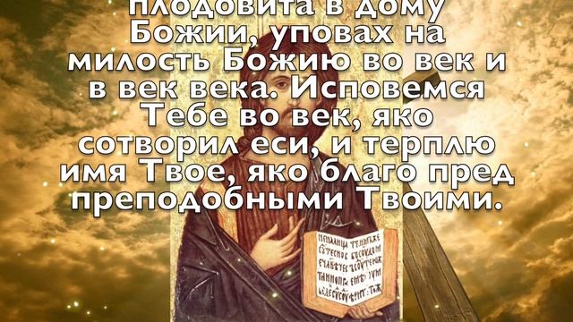 СЕГОДНЯ НЕ ПРОПУСТИ ЭТУ МОЛИТВУ, САМАЯ ОПАСНАЯ НОЧЬ! Вечерняя молитва Господу Богу смотреть онлайн