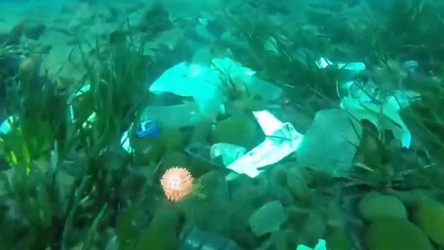 Канны Лазурный берег, а что под водой смотреть онлайн