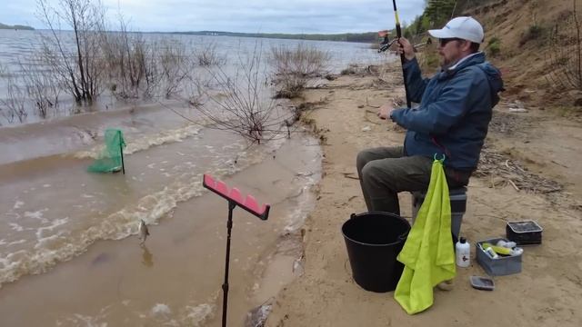 С фидером на Волгу за весенней разнорыбицей. Плотва, густера, чехонь, окунь. смотреть онлайн