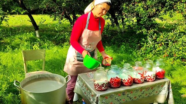 Organic Cherries Harvesting and Prepare Natural Sweets. Country life vlog. Cooking video Summer foo смотреть онлайн