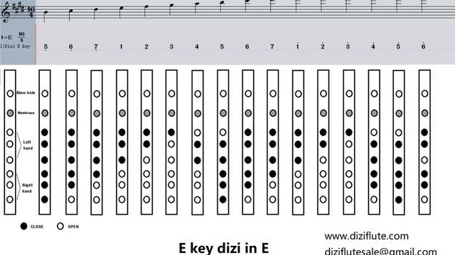 Basic finger chart C D E F G key dizi flute 中国竹笛基础指法表CDEFG调 @Dan Tang смотреть онлайн