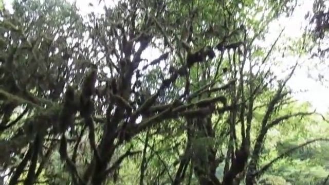 Три котла в Новом Афоне, Абхазия смотреть онлайн