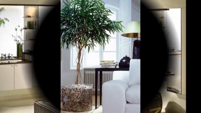 Напольные Цветы в Интерьере - фото 2018 /Floor Color In The Interior Photo /Boden Farbe Im Innenrau