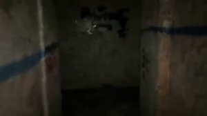 САМОЕ ЖУТКОЕ ВИДЕО ИЗ ПРИПЯТИ // Последние кадры с телефона   // МУТАНТЫ Чернобыля
