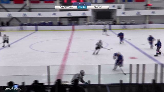 «СКА-Стрельна» (г. Санкт-Петербург) - «Трактор» (г. Челябинск) смотреть онлайн