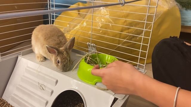 СЮРПРИЗ ЛИЗЕ НАЙС НА ПОЛГОДА ОТНОШЕНИЙ! смотреть онлайн