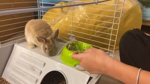 СЮРПРИЗ ЛИЗЕ НАЙС НА ПОЛГОДА ОТНОШЕНИЙ!