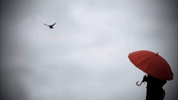 Max Richter - She Remembers