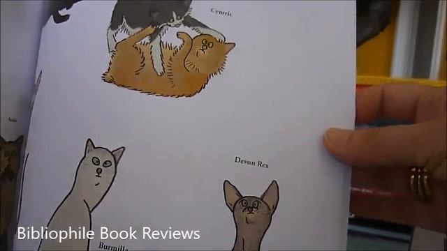 BIG CATS, LITTLE CATS смотреть онлайн