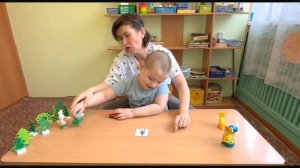 Индивидуальное коррекционно - развивающее занятие с ребёнком с ОВЗ
