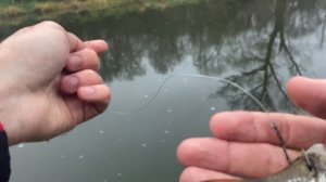 Космическая рыбалка на налима на малой реке .ЛОВЛЯ НАЛИМА НА ДОНКИ ОСЕНЬЮ.